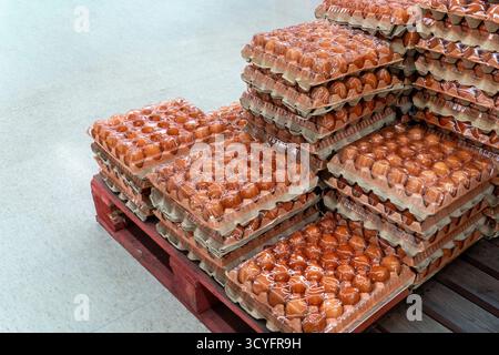 Large stacks of brown eggs in plastic-wrapped cardboard trays are piled high on a red wooden pallet, ready for sale or distribution in a supermarket Stock Photo