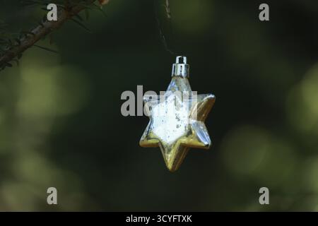 A silver star hanging from a tree branch. The star is shining brightly in the sunlight. The scene is peaceful and serene Stock Photo