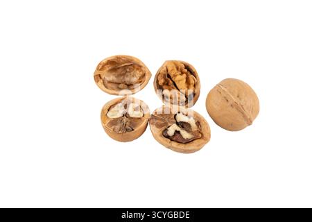Several opened and whole walnuts isolated on a white background. The image highlights the contrast between shell and kernel. Stock Photo