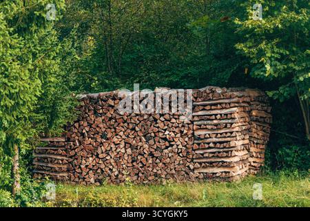 Stacked firewood splits surrounded by trees on a farm in the countryside. Selective focus. Stock Photo