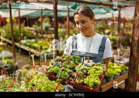 A joyful woman selecting beautiful succulents in a vibrant, greenfilled greenhouse Stock Photo