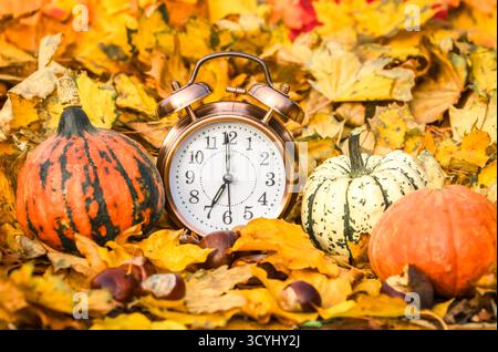 Clocks go back one hour in Autumn.  Selective focus of an Alarm clock with two bells surrounded by Autumn leaves, Gourds or small pumpkins and chestnu Stock Photo