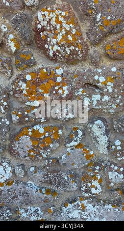 Close-up of an ancient stone wall with natural yellow and white lichen growth creating organic texture. Stock Photo