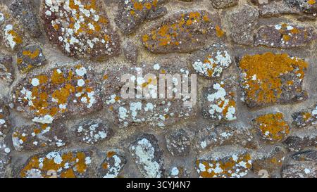 Close-up of an ancient stone wall with natural yellow and white lichen growth creating organic texture. Stock Photo