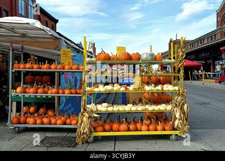 Ottawa, Canada - October 18, 2025: Pumpkins on sale for the Halloween season in Ottawa’s Byward Market. Stock Photo