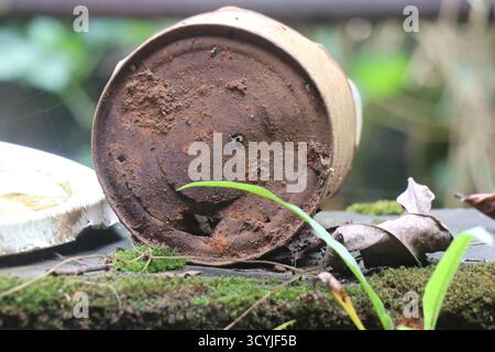 Rusty container on an outdoors that has been abandoned for a long time Stock Photo