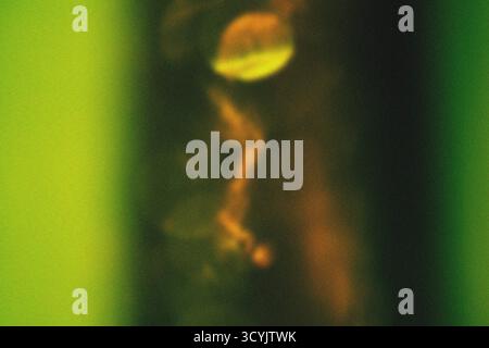 Abstractly Light leak Texture Background. Blurred defocused. Lo-fi effect Stock Photo