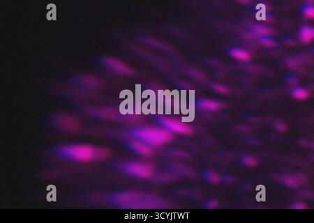 Grain noisy abstract neon colors gradient background for design. Blurred defocused. Lo-fi effect Stock Photo