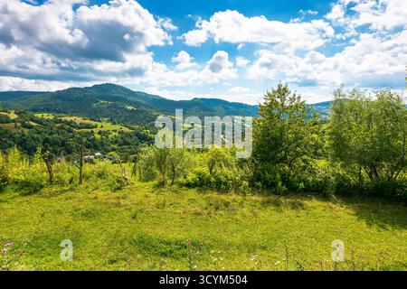 rural fields on rolling hills of ukraine in summer. wide angle countryside landscape of transcarpathia with stick fences in dappled light. uzhok villa Stock Photo