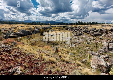 Basaltic lava-flow breccia (aa flow), Springerville Volcanic Field, along AZ-260 west of Greer, White Mountains, Arizona, USA. Stock Photo