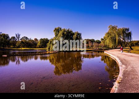 A woman strolls along a path beside a tranquil lake, surrounded by lush trees under a clear blue sky Stock Photo