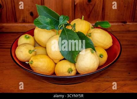 A red bowl of ripe Eureka lemons on a wooden welsh dresser Stock Photo