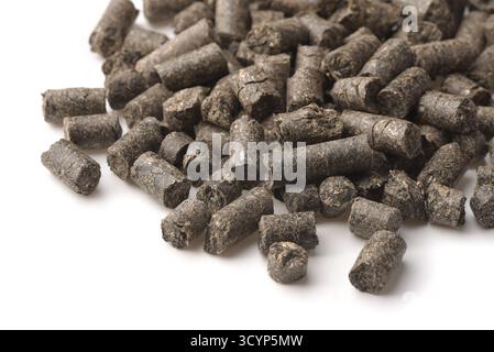 Close up of sunflower press cake pellets on white background Stock Photo