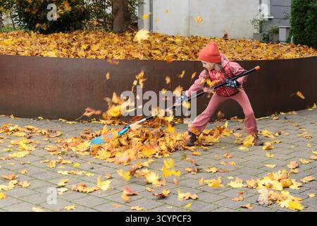 A girl child rakes fallen leaves from a maple tree Stock Photo - Alamy