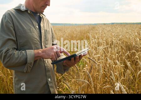 Caucasian man using digital tablet standing in wheat field, focusing on screen while managing agricultural tasks, demonstrating modern farming technology application Stock Photo