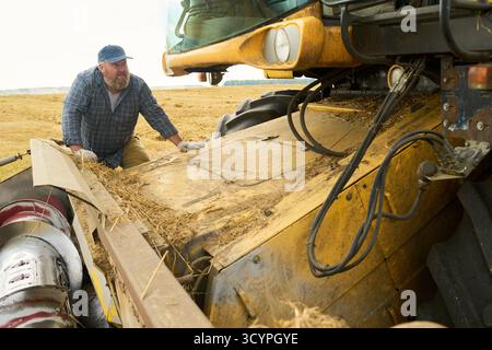 Middle aged Caucasian man inspecting large agricultural machine in wheat field during harvest season, kneeling beside equipment and examining machinery components closely Stock Photo