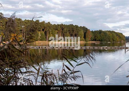 Badehalbinsel Absberg , kleiner Brombachsee im Herbst 15.10.25 *** Absberg bathing peninsula, Kleiner Brombachsee in fall 15 10 25 Stock Photo