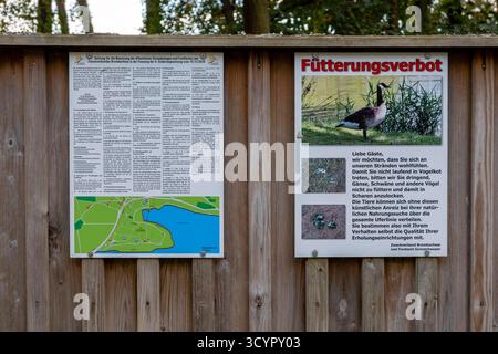 Badehalbinsel Absberg , kleiner Brombachsee im Herbst, Fütterverbot für Gänse 15.10.25 *** Absberg bathing peninsula, Kleiner Brombachsee in the fall, feeding ban for geese 15 10 25 Stock Photo