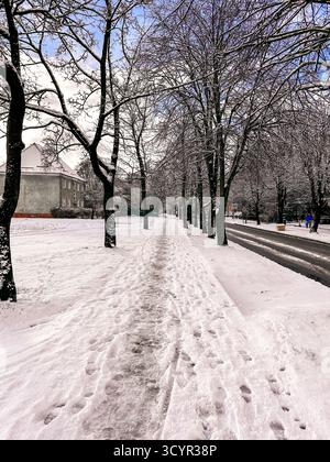 Vertical. Frosty sunny winter day in the city. Winter park landscape, deserted winter alley covered with snow, winter park trees along the walkway Stock Photo