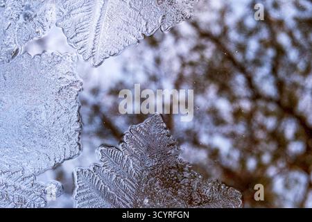 Beautiful ice crystals on the water surface Stock Photo