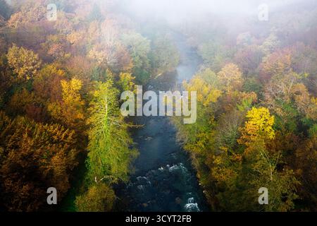 BEautiful Krka river in morning mist surrounded with beautiful trees in autumn foliage, aerial view of a river and beautiful colours of autumn forest Stock Photo