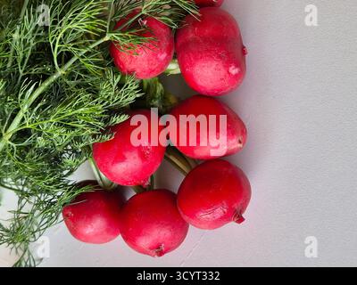 Fresh radish and dill on white background. Healthy food. Stock Photo