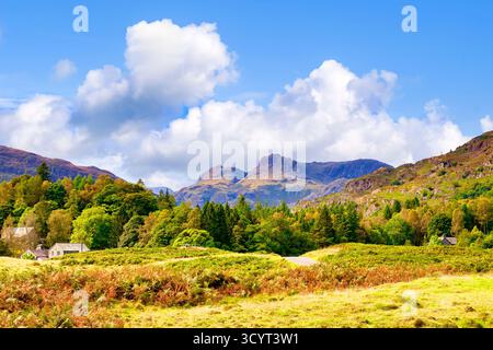 Langdale Pikes from Elterwater, Lake District National Park, Cumbria, England, UK, on a beautiful summer day. Stock Photo