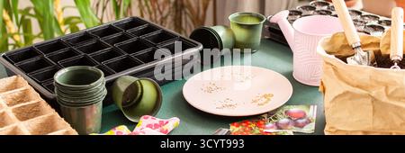 Preparing to plant tomato seeds in seedling trays at home. Gardening tools, pots, and soil are arranged on a table, showcasing an organized planting s Stock Photo