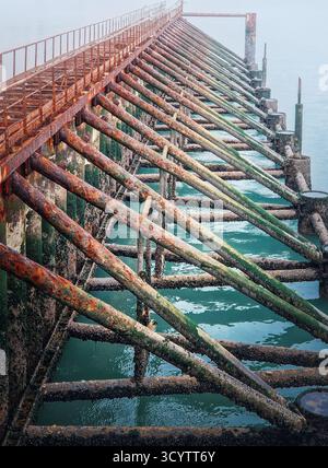 Weathered, rusty support structure of a pier or jetty extending into foggy turquoise water. The metal beams are heavily covered in rust, algae, and ba Stock Photo