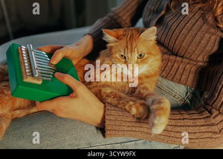 Close-up of a woman's hands playing a green kalimba, a small thumb piano, while a fluffy ginger cat comfortably rests on her lap, creating a peaceful and cozy scene of music and companionship Stock Photo