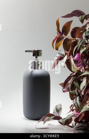 View of a black bathroom soap dispenser flanked by a leafy plant of various colors, a natural hygiene product Stock Photo