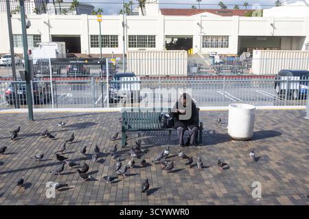 Woman sitting on a bench, surrounded by pigeons. She's feeding the birds, which is a common sight in urban areas Stock Photo