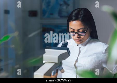 A scientist studies samples closely at a microscope in a laboratory. Stock Photo