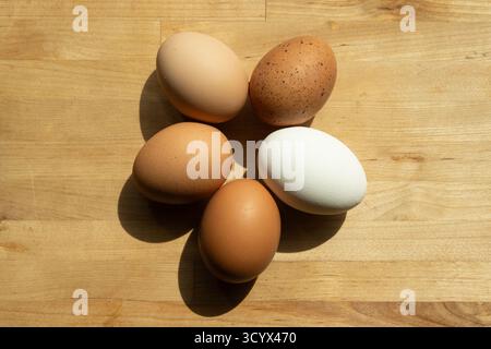 Assorted chicken eggs on wooden table in natural light Stock Photo