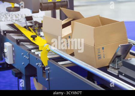 Cardboard boxes on conveyor belt. Industry Stock Photo