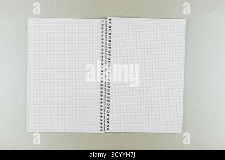 A blank grid notebook lies open on a smooth surface, inviting creativity and organization. Its clean pages offer a perfect canvas for notes and drawin Stock Photo