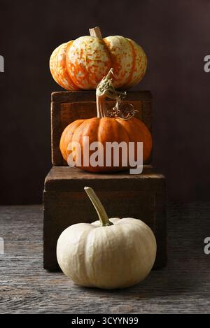 Autumn Still Life. Three different mini decorative pumpkins on old wood boxes with a warm brown mottled background. Stock Photo