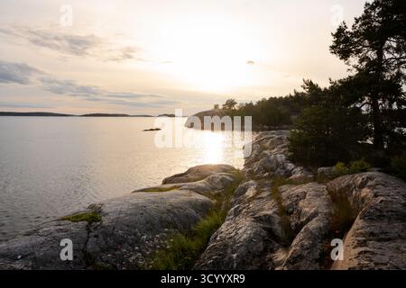 Golden evening light shines on the baltic sea and the coast of Grinda, an island in the Stockholm Archipelago and part of the Stockholm Archipelago tr Stock Photo