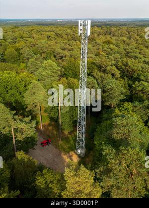 Aerial view of a dirt access road winding through a lush green forest ...