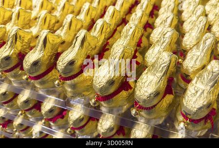 By the company Lindt chocolate gold bunnies on display in the supermarket at Easter Lindt Chocolate Gold Bunnies on display in the supermarket at East Stock Photo