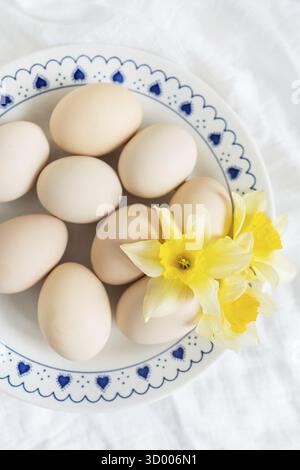 Pastel eggs and cheerful daffodils create a lovely Easter scene on a blue and white plate. The image captures the freshness and joy of spring Stock Photo