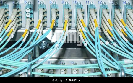 Network switch and network cable fiber optic fiber optic in a data center Network switch and network cable fiber optic fiber in a data center Stock Photo
