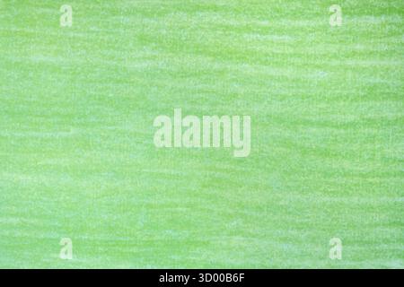 Green pencil drawings on white paper background texture Stock Photo