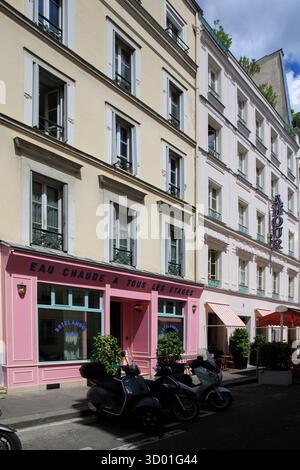 France, Ile de France region, Paris, 9th arrondissement, rue de Navarin, Hôtel Amour, Stock Photo