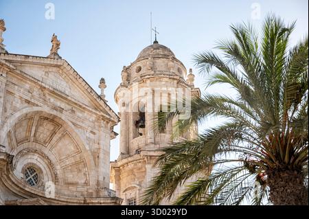 Cadiz, Spain; 06-12-2025: The bell tower of the Cathedral of Cadiz framed by a palm tree against a bright blue sky, Andalusia, Spain Stock Photo