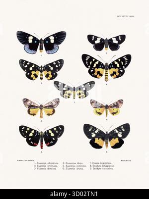 British Museum, Lepidoptera, Insects, Entomology, Catalogs, Natural ...