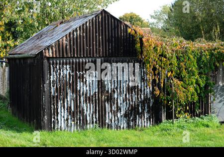 weathered corrugated metal garage style shed on an allotment plot, norfolk, england Stock Photo