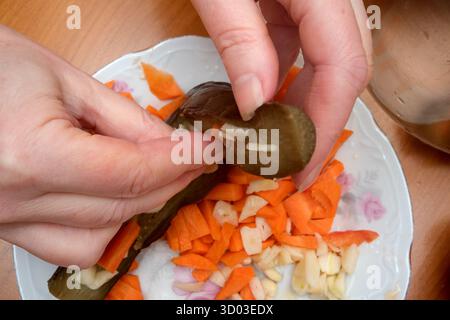 Hands gently prepare pickles with garlic and carrots on a white plate. Stock Photo
