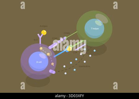 Cell of adaptive immune system, 3d rendering Stock Photo - Alamy