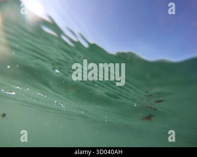 Bubbles under the sea in the crystal clear green sea water. . Real image very suitable for backgrounds, Rising Bubbles in Deep Underwater, Under with Stock Photo